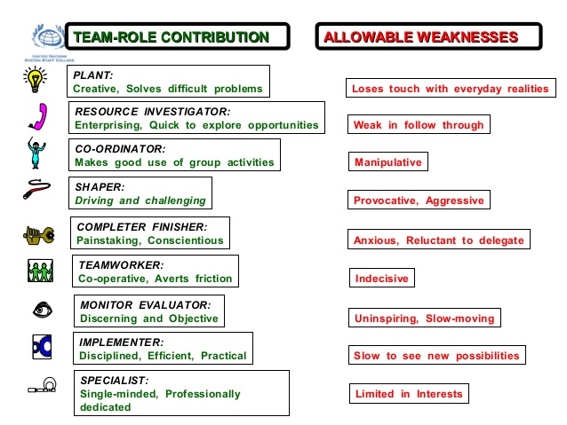 belbin test definition and roles